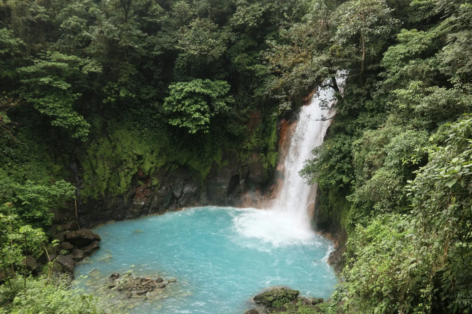 Cascada de Río Celeste rodeada de bosque tropical